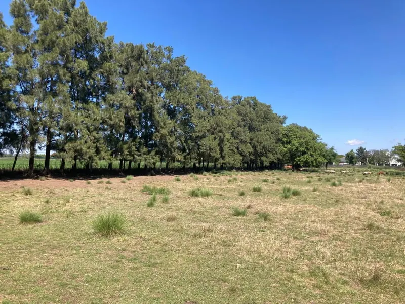 Maxi Lote de 8.000 m2 en Pueblo Esther - Apto Credito