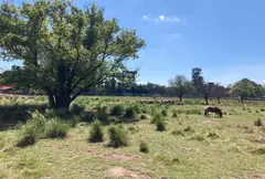 Maxi Lote de 8.000 m2 en Pueblo Esther - Apto Credito — imagen 4